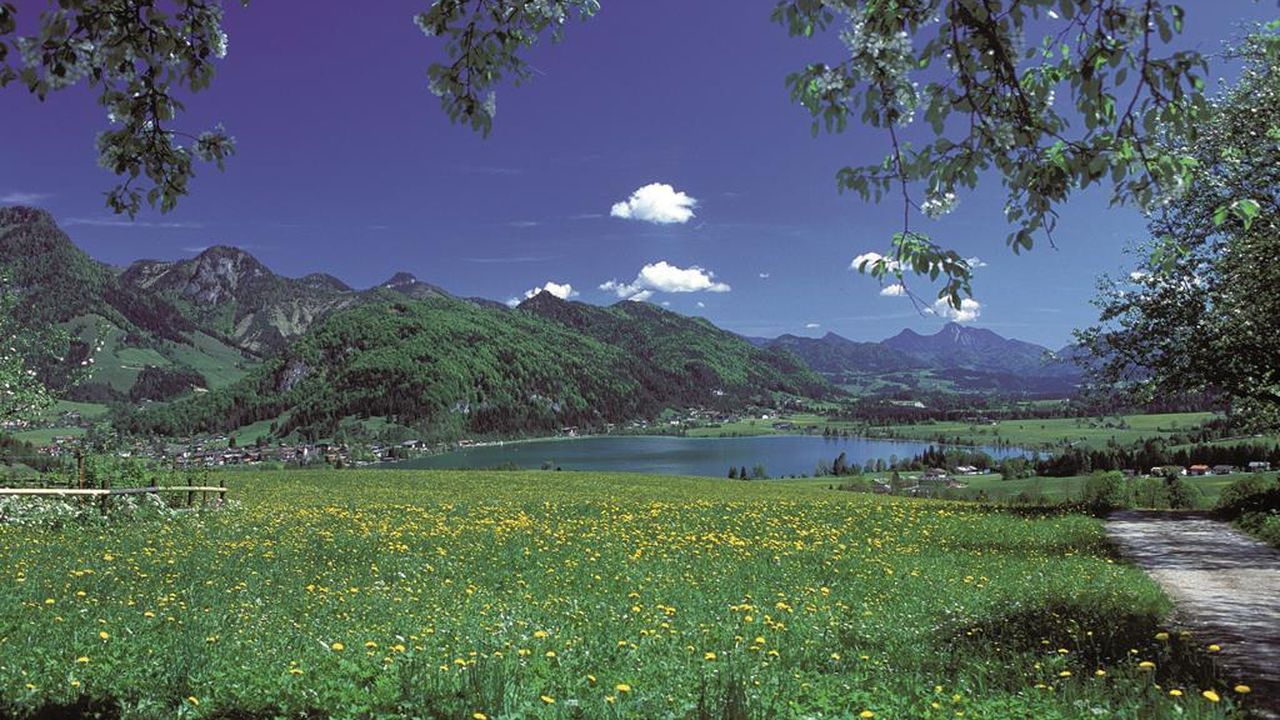 Walchsee im Mai Walchsee im Mai